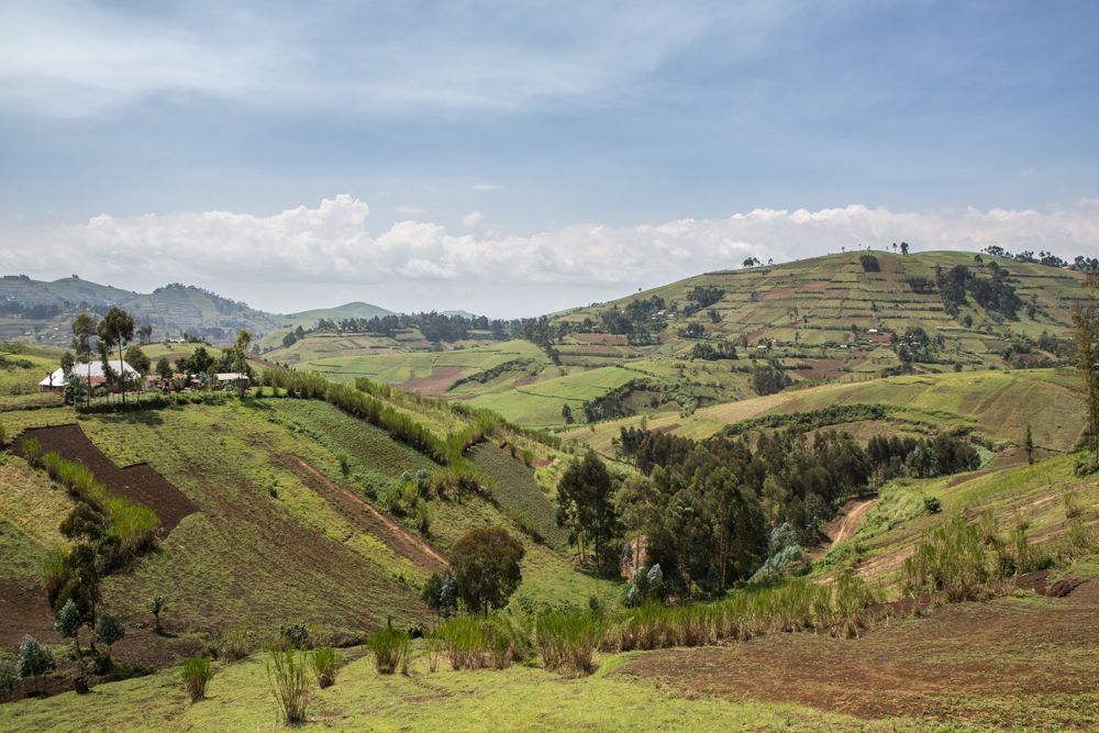 Tutsi and Banyamulenge in the DRC: Sixty Years of Persecution